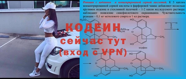 индика Волоколамск
