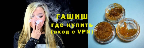 индика Волоколамск