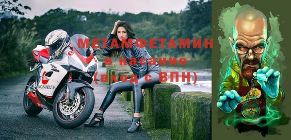 индика Волоколамск