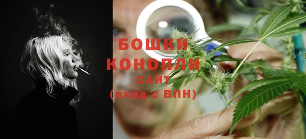 индика Волоколамск