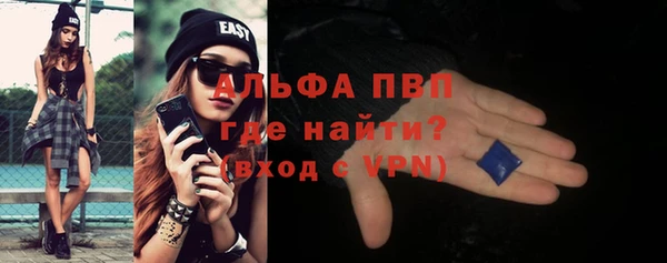 индика Волоколамск