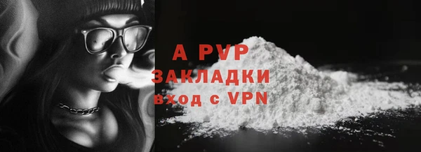 индика Волоколамск