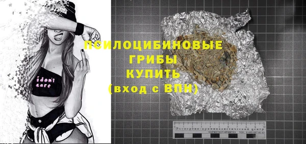 индика Волоколамск