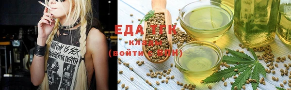 индика Волоколамск