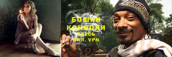 молекула духа Волосово