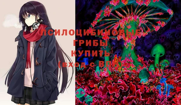 молекула духа Волосово