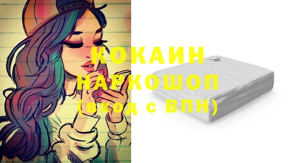 индика Волоколамск