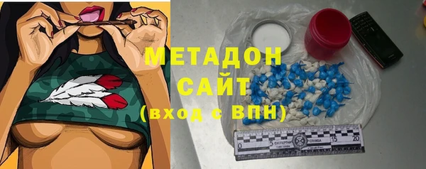 индика Волоколамск